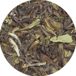 Black Tea - Darjeeling Maka
